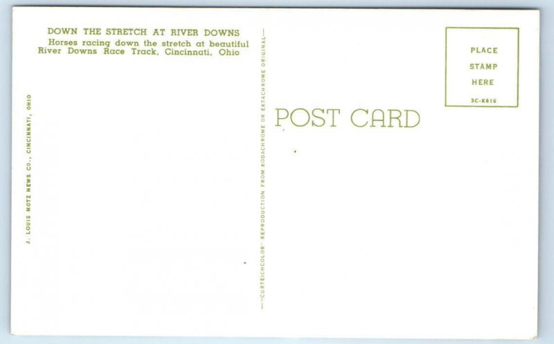 CINCINNATI, OH ~ Horse Racing RIVER DOWNS RACE TRACK Down the Stretch Postcard