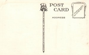 Vintage Postcard 1920's Le Conte Oak University Of California Pacific Novelty
