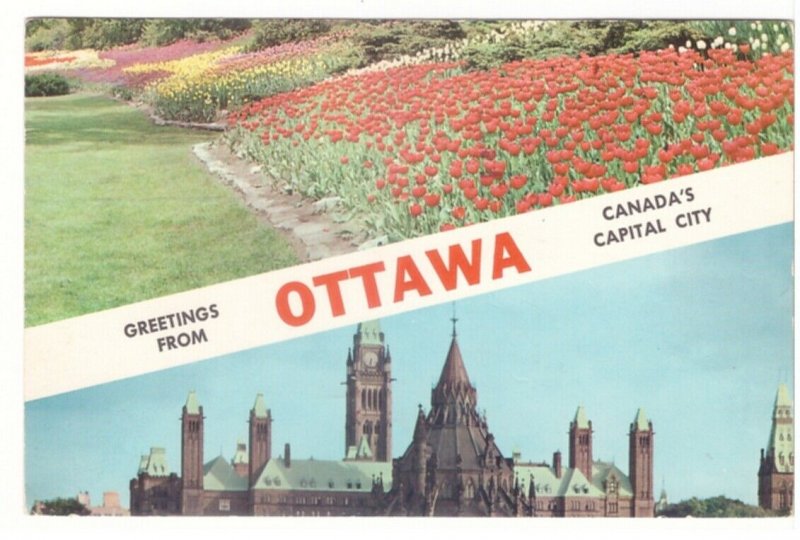 Tulip Gardens, Parliament Buildings, Ottawa ON, 1963 Split View Postcard, Slogan