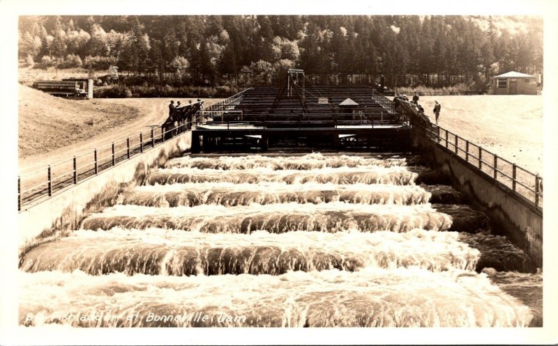 Oregon Columbia River Highway Bonneville Dam Fish Ladder Real Photo