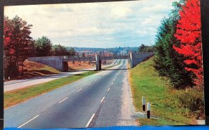 Super Highway Autumn Leaves Roads Vintage Postcard