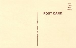 Friends Teddy Bear Cat