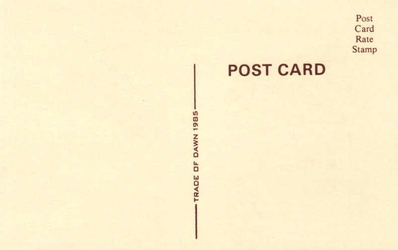 Friends Teddy Bear Cat