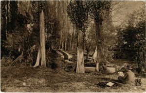 CPA Les Promenades de DIJON - Derriere le Parc (115482)