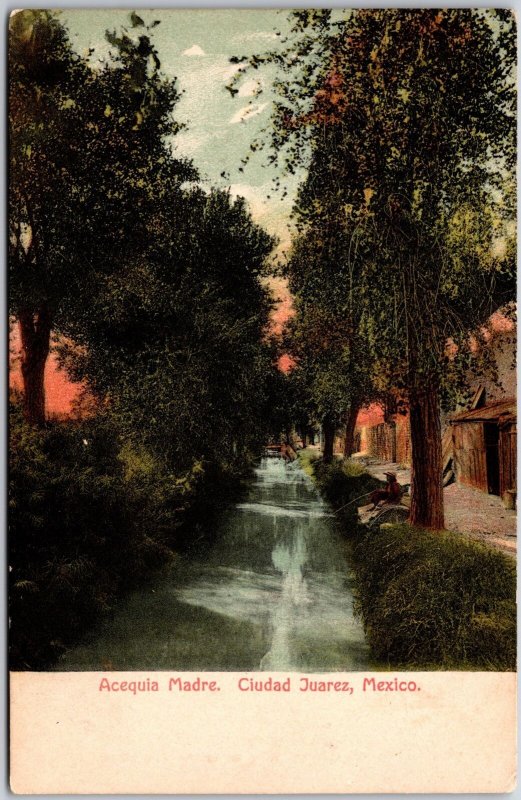 Acequia Madre Ciudad Juarez Mexico Flowing Water Canal Residences Postcard