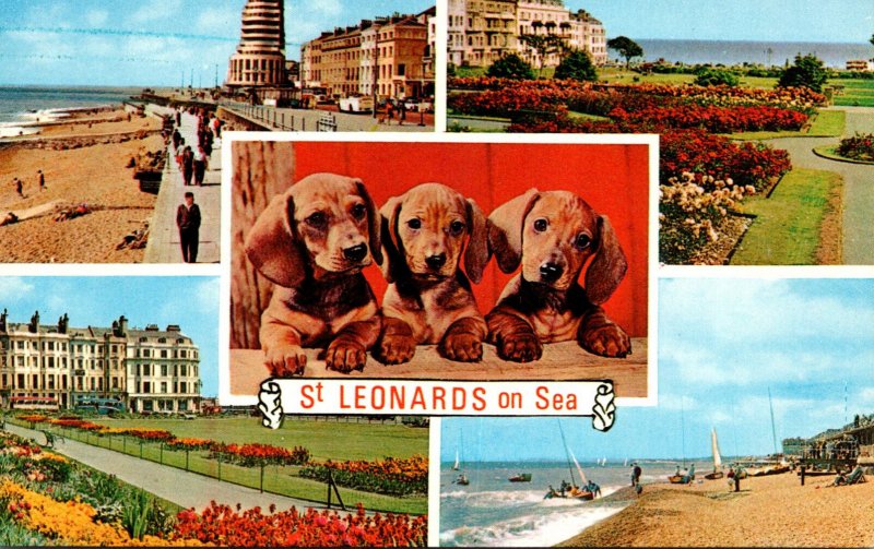 England St Leonards On Sea Multi View