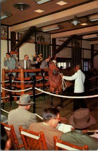 Kentucky Lexington Horses Yearling Sale At Keeneland