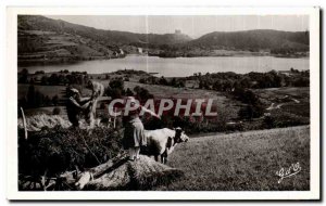 Old Postcard The Auvergne Lac Chambon Peasants Cows