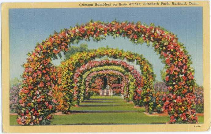 Linen of Rose Arches Elizabeth Park Hartford Connecticut CT