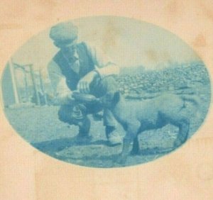 Farmer Bottle Feeding Baby Lamb Sheep Oval Blue RPPC Photo Vintage Postcard 