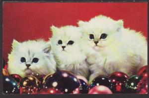 Three Little Maids Are We,Kittens Postcard 