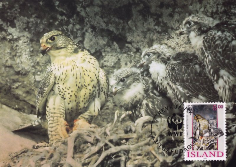 Iceland Gyrfalcon WWF Stamp FDC First Day Cover Postcard