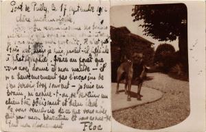 CPA AK Postcard with dog in real photo DOGS (727478)