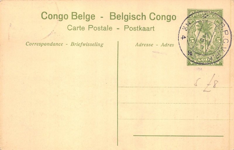 Belgian Congo Leopard Wild Animal 1917 postcard B980