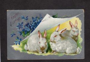 Easter Greetings Postcard Bunny Bunnies Rabbits Flowers Raphael Tuck & Sons