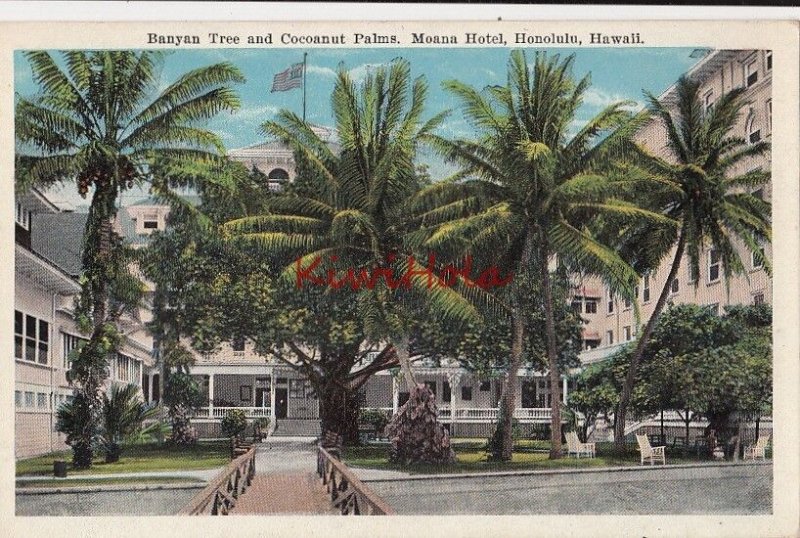 Postcard Banyan Tree + Cocoanut Palms Moana Hotel Honolulu Hawaii HI