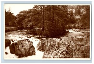 c1910 RPPC Fir Tree Island Bettws-Y-Coed Wales Postcard P128E