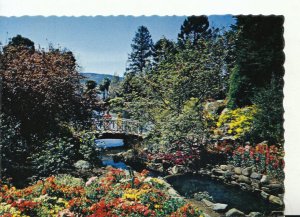 Australia Postcard - Botanical Gardens - Hobart - Tasmania - Ref TZ674