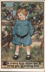 Tuck Field & Flower Birthday Little Boy in Blue c1910 Vintage Postcard