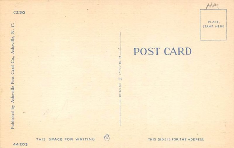 First Night in the Country Unused 