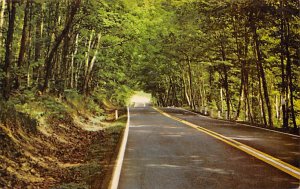 Tunnel Drive Delaware Michigan Copper Harbor MI 