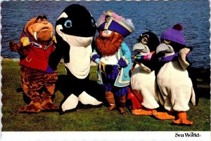 San Diego, CA California  SEA WORLD COSTUMED CHARACTERS  Pirate++  4X6 Postcard