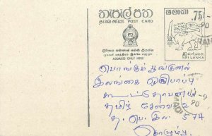 Entier Postal Stationery Postal Sri Lanka Ceylon Lion