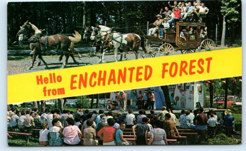 CHESTERTON, IN Indiana ~ ENCHANTED FOREST AMUSEMENT PARK c1960s Postcard