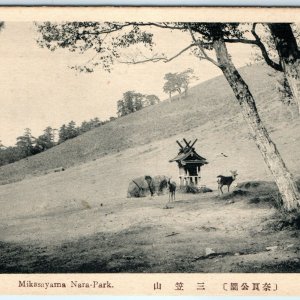 c1910s Nara Japan Mount Wakakusayama Wakakusa Deer Grass Hill Collo Postcard A55