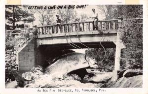 Rimouski Quebec Giant Fish Catch Real Photo Antique Postcard K62976