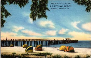 Florida Naples Municipal Pier and Bathing Beach 1955