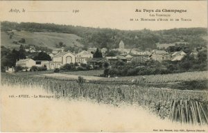 CPA Les Vignorles - La Montagne d'Avize et de VERTUS (132044)