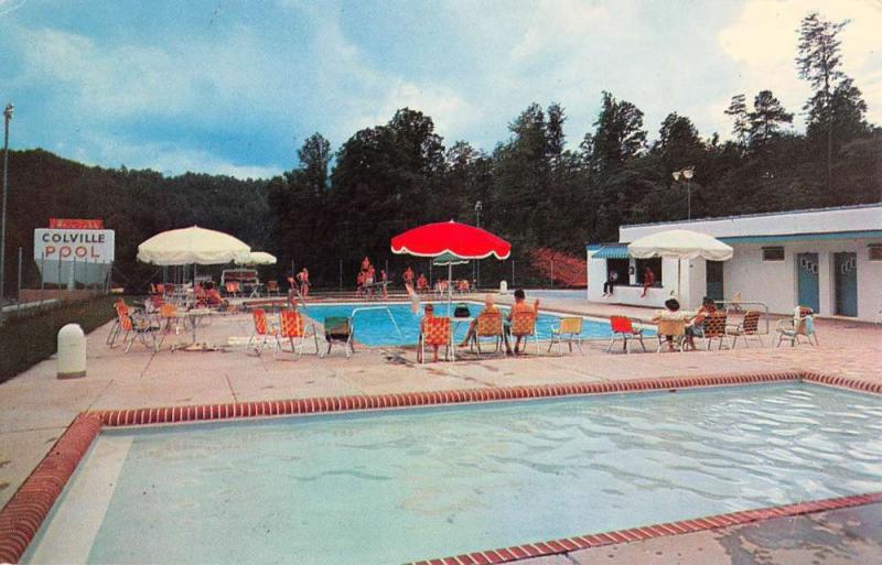 Ela North Carolina Colville Pool Recreational View Vintage Postcard K97601