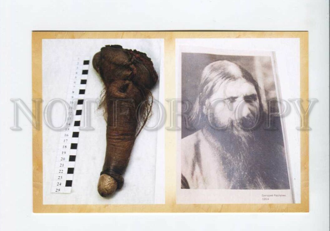 3117452 Rasputin Penis Museum Advertising Postcard Topics Royal Families Postcard Hippostcard 4049