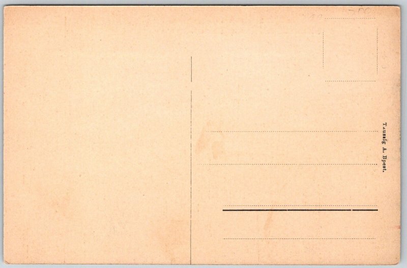 Budapest Hungary c1910 Postcard Danube River Coronation Church Steamboat