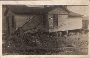 RPPC Unique House on Barrels Uprooted Tree c1907 Real Photo Postcard X10