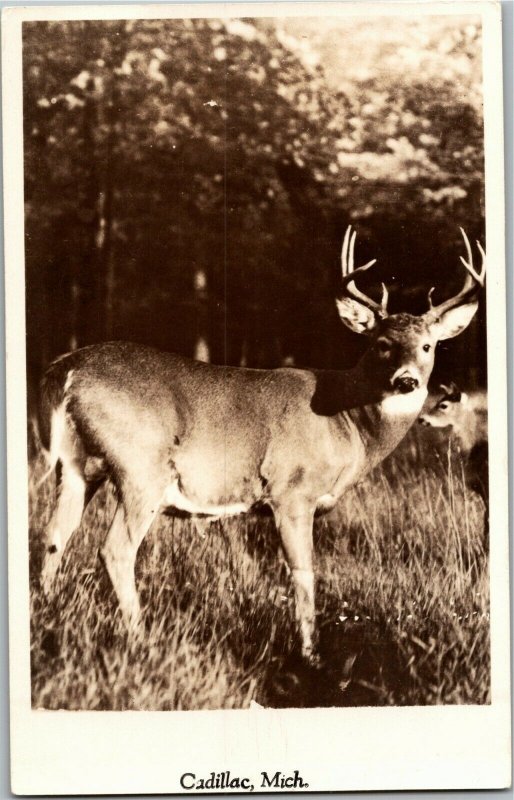RPPC Large Deer Buck Cadillac MI Vintage Postcard E28