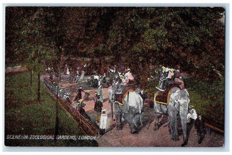 London England Postcard Elephant Scene in Zoological Gardens c1910 Antique