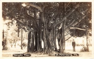 G16/ St Petersburg Florida RPPC Postcard c1920s Banyan Tree Man