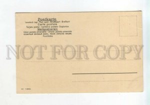 528083 FANTASY Lovely FROG Toad & Bug BEETLE Violinist Vintage postcard