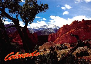 Pikes Peak From Garden Of Gods, Colorado  