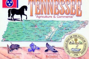 TENNESSEE: FUN FACTS STATE MAP POSTCARD