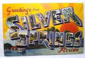 Greetings From Silver Springs Florida Large Letter Linen Postcard Curt Teich '49