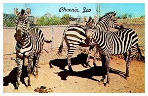 Postcard ZOO SCENE Phoenix Arizona AZ AQ3720