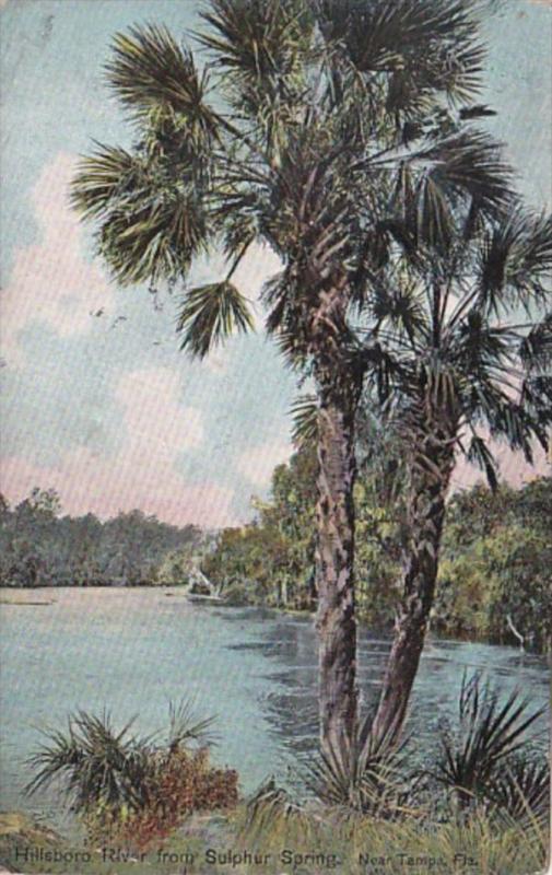 Florida Tampa Hillsboro River From Sulphur Spring 1918