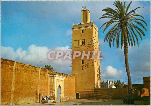 Modern Postcard The Mosque Tiznit