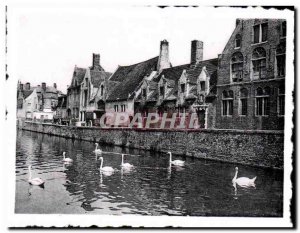 Modern Postcard Brugge Bruges De Groene Rei Godshuis Pelikann Wharf Green