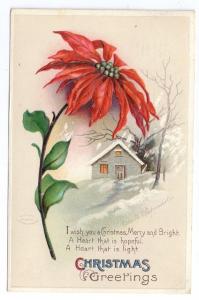 Clapsaddle Vintage Christmas Postcard 1911 Poinsettia Winter Cottage IAP