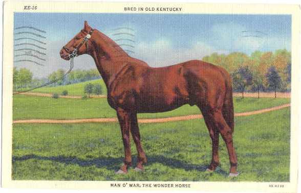 Linen of Man O' War, The Wonder Horse Bred in Kentucky KY