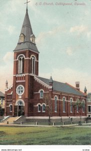 COLLINGWOOD , Ontario , Canada , 1900-10s ; R.C. Church